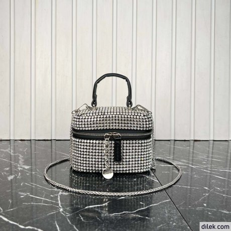 Alexander Wang Vanity Bag