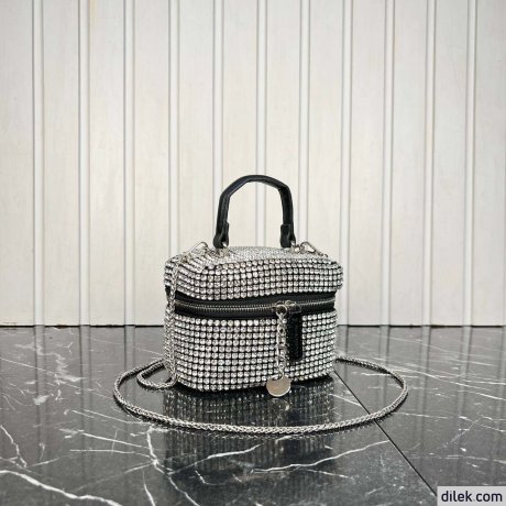 Alexander Wang Vanity Bag