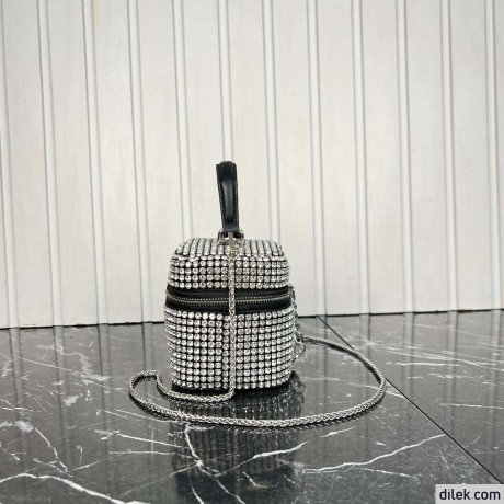 Alexander Wang Vanity Bag