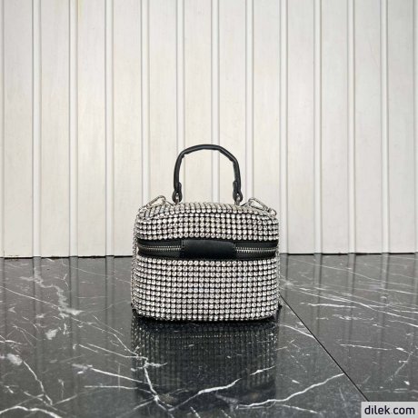 Alexander Wang Vanity Bag
