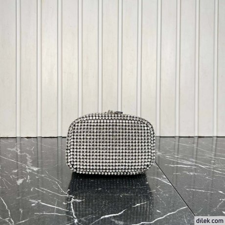 Alexander Wang Vanity Bag