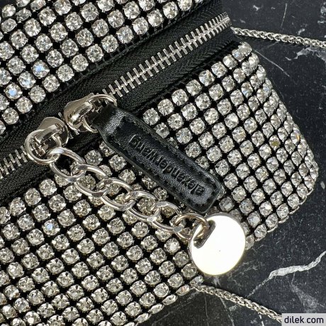 Alexander Wang Vanity Bag