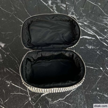 Alexander Wang Vanity Bag