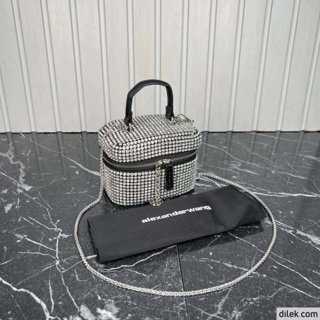 Alexander Wang Vanity Bag