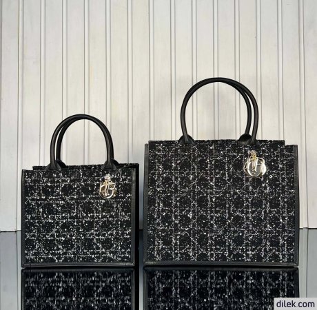 Dior Medium Book Tote