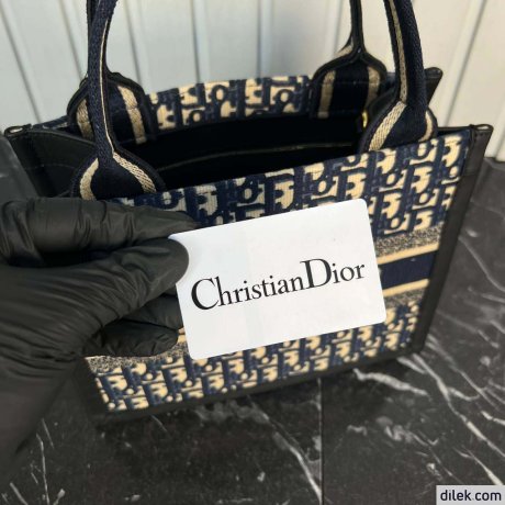 Dior Small Book Tote