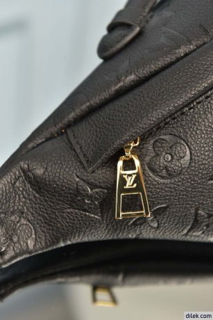 Louis Vuitton Bumbag