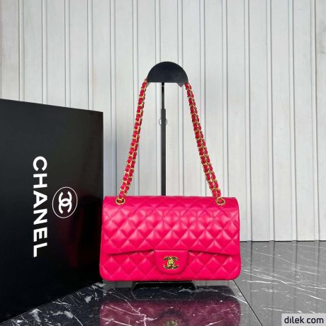 Chanel 2.55 Handbag