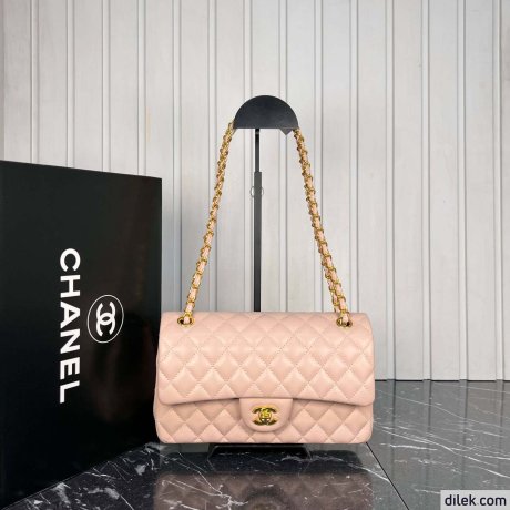 Chanel 2.55 Handbag