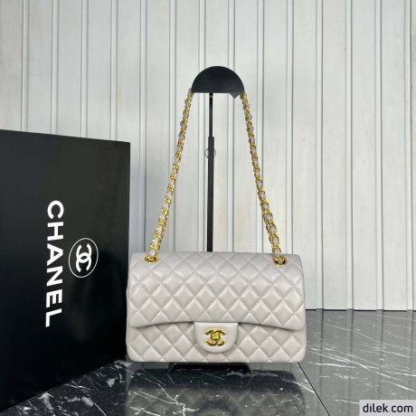 Chanel 2.55 Handbag