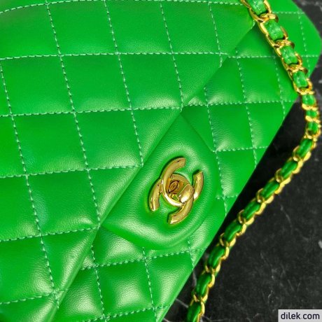 Chanel 2.55 Handbag