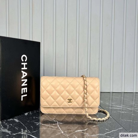 Chanel Classic Wallet on Chain