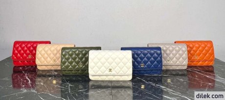 Chanel Classic Wallet on Chain