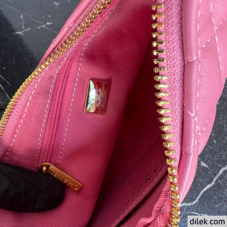 Chanel Small Hobo Handbag