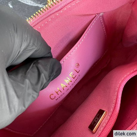 Chanel Small Hobo Handbag