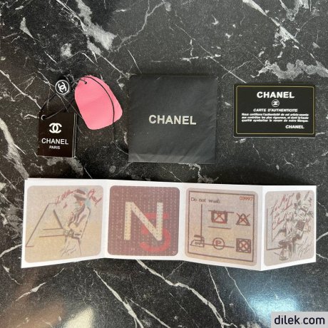 Chanel Small Hobo Handbag