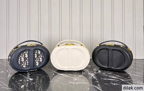 Dior CD Signature Bag with Strap