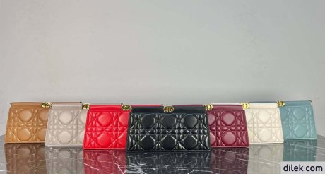 Christian Dior Chain bag