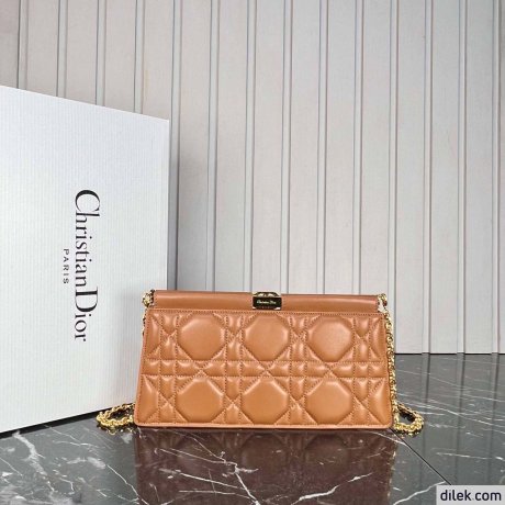 Christian Dior Chain bag