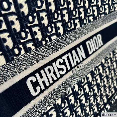 Dior Large Book Tote