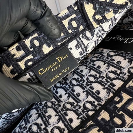 Dior Large Book Tote