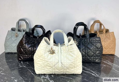 Dior Large Toujours Bag