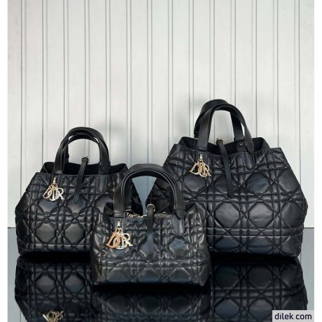 Dior Large Toujours Bag