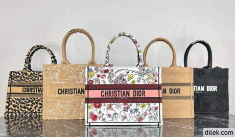 Dior Medium Book Tote