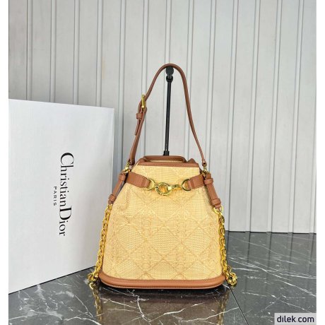 Dior Medium C'est Bag