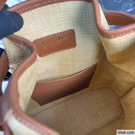 Dior Medium C'est Bag