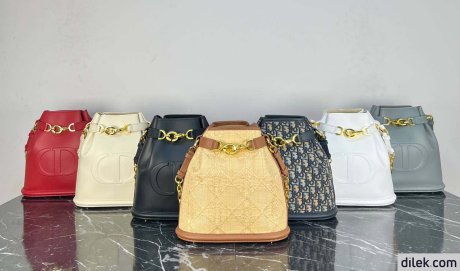 Dior Medium C'est Bag