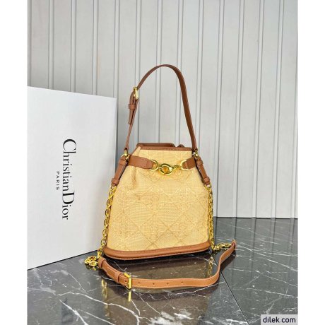 Dior Medium C'est Bag