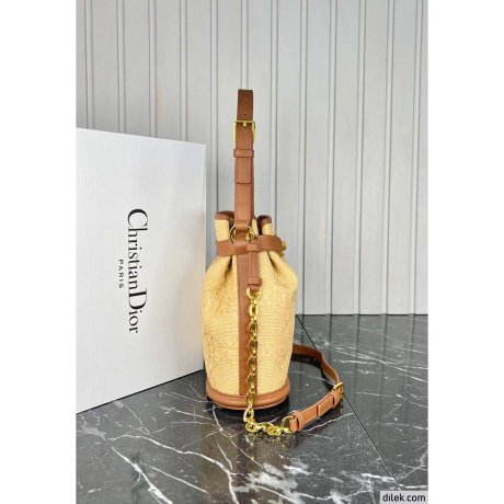 Dior Medium C'est Bag