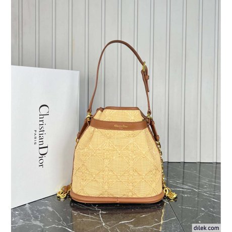 Dior Medium C'est Bag