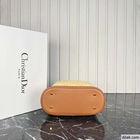 Dior Medium C'est Bag