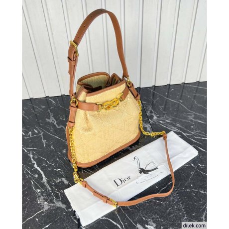 Dior Medium C'est Bag