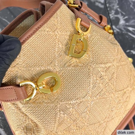 Dior Medium C'est Bag