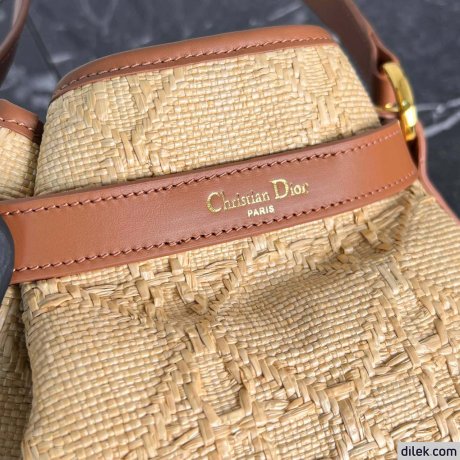 Dior Medium C'est Bag