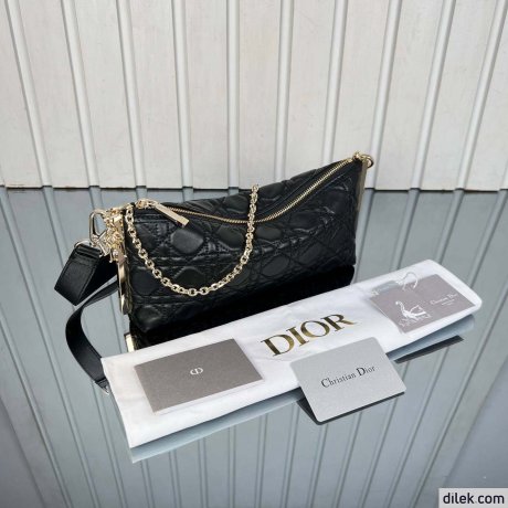 Dior Medium DiorTravel Nomad Pouch
