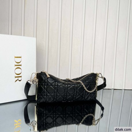 Dior Medium DiorTravel Nomad Pouch