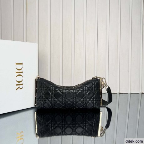 Dior Medium DiorTravel Nomad Pouch