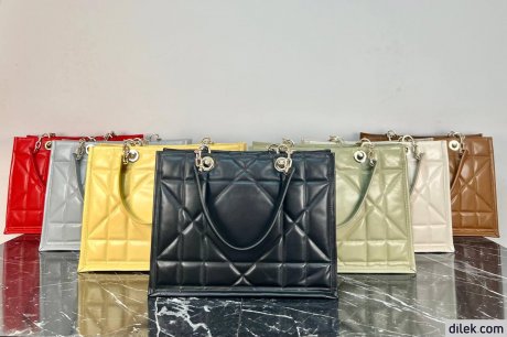 Dior Medium Essential Tote Bag