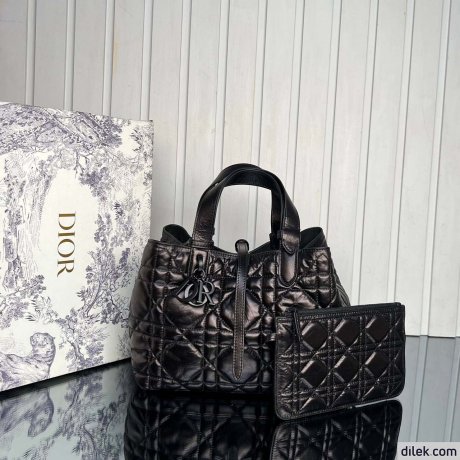 Dior Medium Toujours Bag