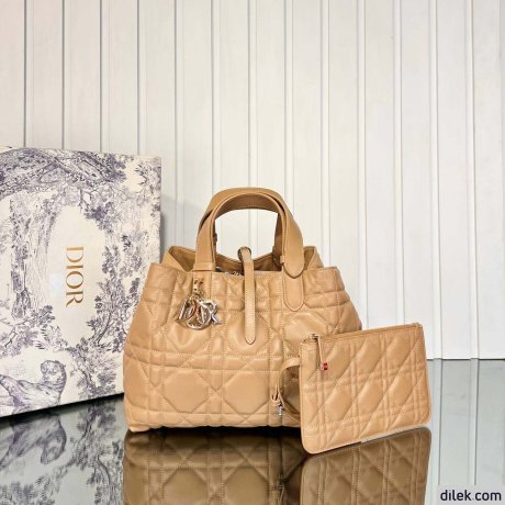 Dior Medium Toujours Bag