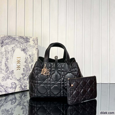 Dior Medium Toujours Bag