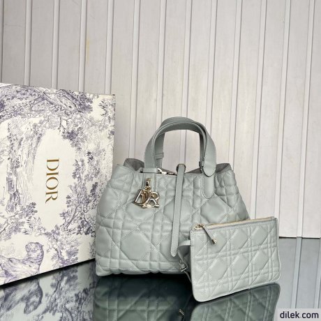 Dior Medium Toujours Bag