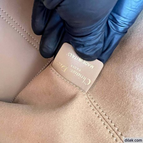 Dior Medium Toujours Bag