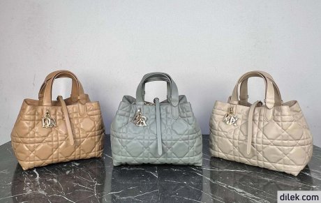 Dior Medium Toujours Bag