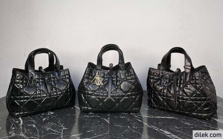 Dior Medium Toujours Bag