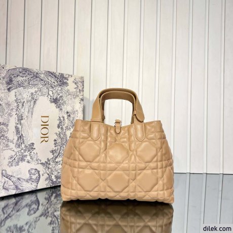 Dior Medium Toujours Bag